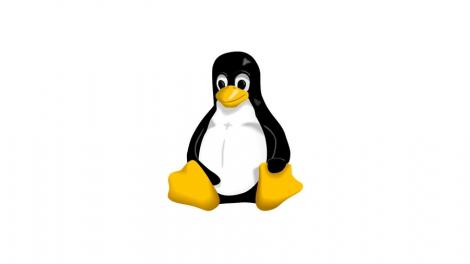 Linux 4.0: little fanfare for a tiny new release