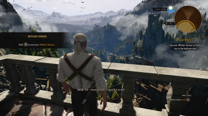 The Witcher 3