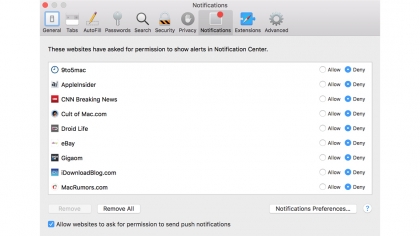 Safari Notifications