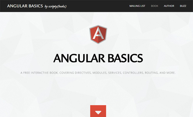 Angular Basics by ScriptyBooks